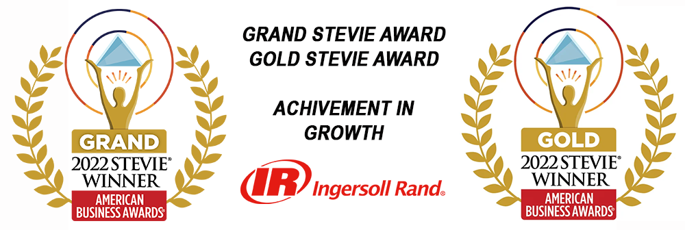 Grand Stevie Award 2022