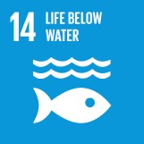 social-community-impact_life-below-water